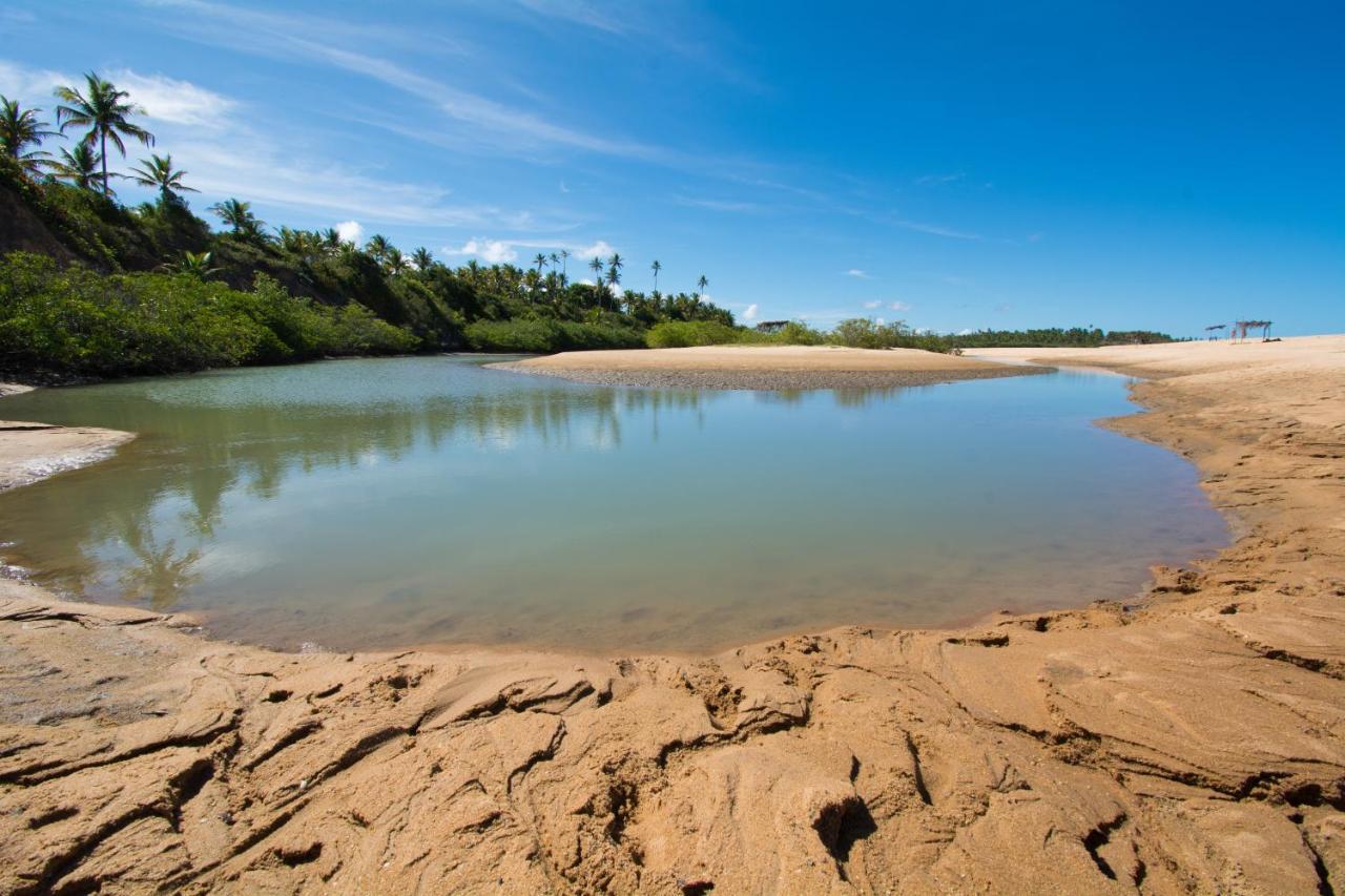 Paraiso Da Falesia Em Cumuruxatiba Com Vista Excepcional Para O Marヴィラ エクステリア 写真